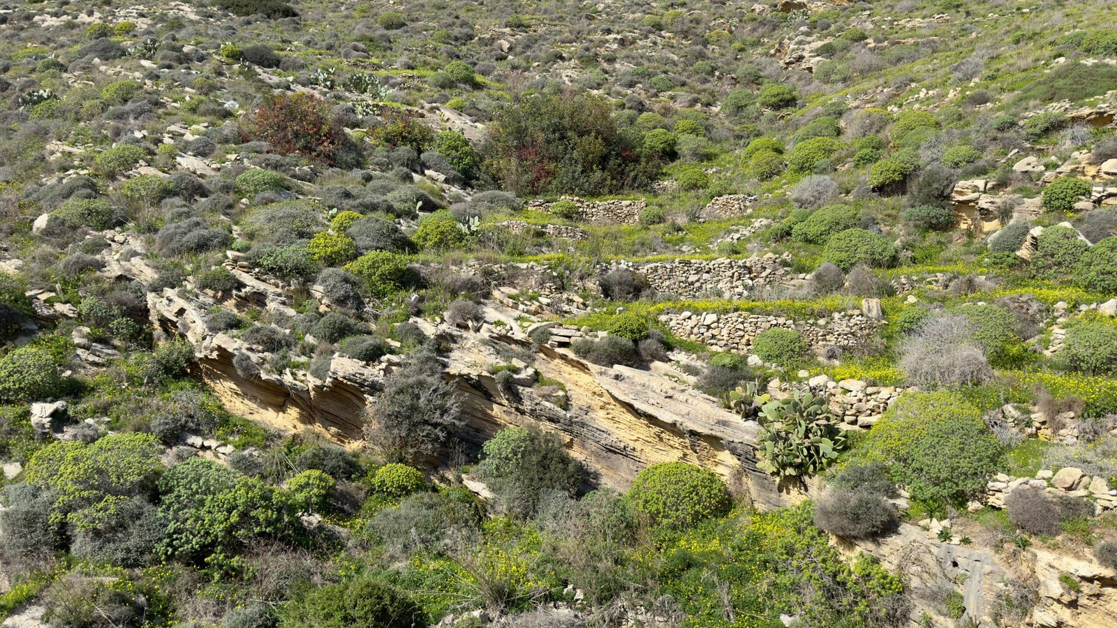 Rugged limestone rock formation on the coast of Gozo, Malta